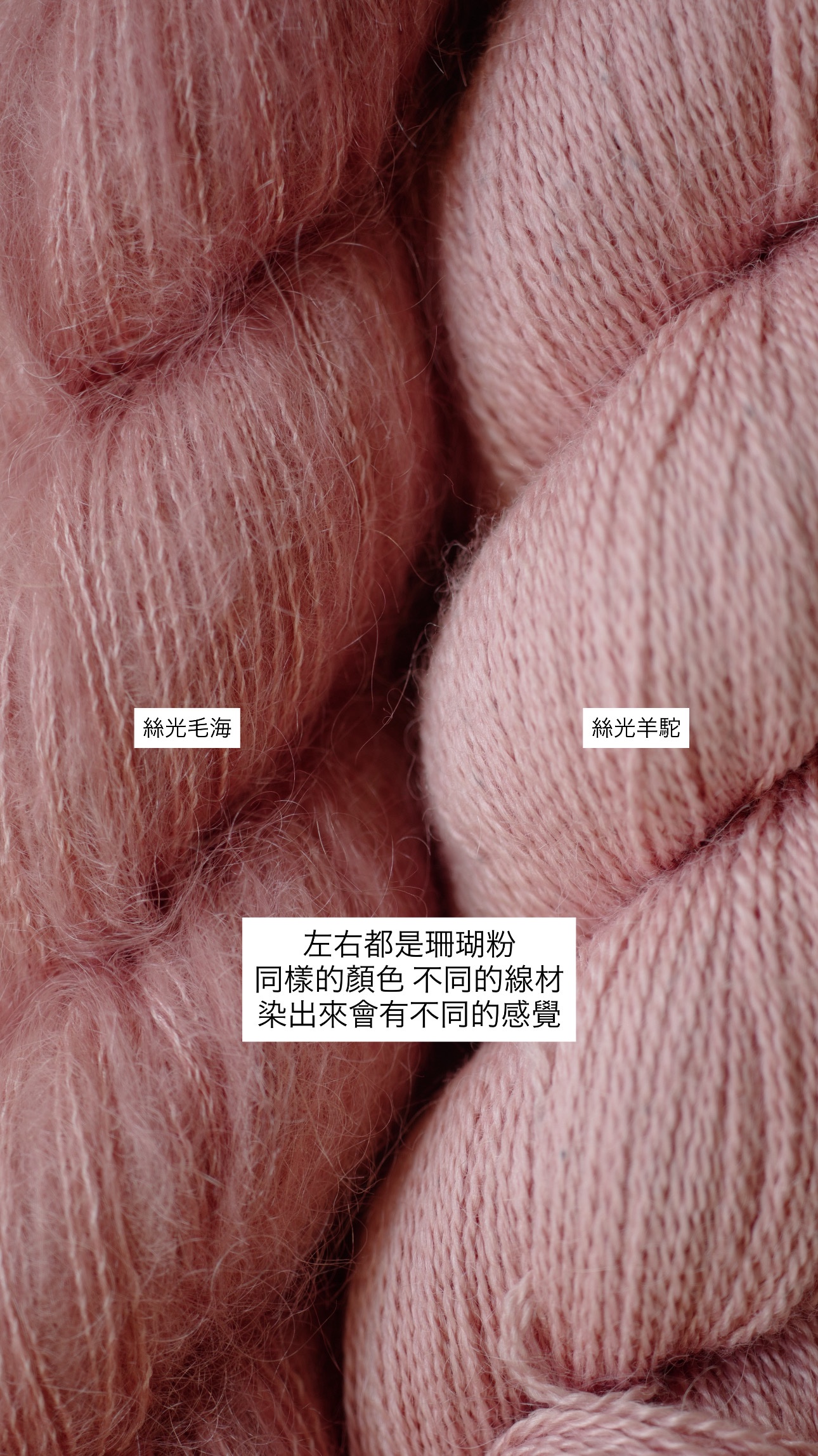 bacb1e84-1b76-4b3f-8b69-5a9829ac28e3